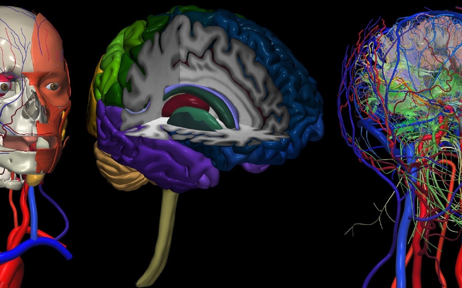 Brain atlases in neurosurgery